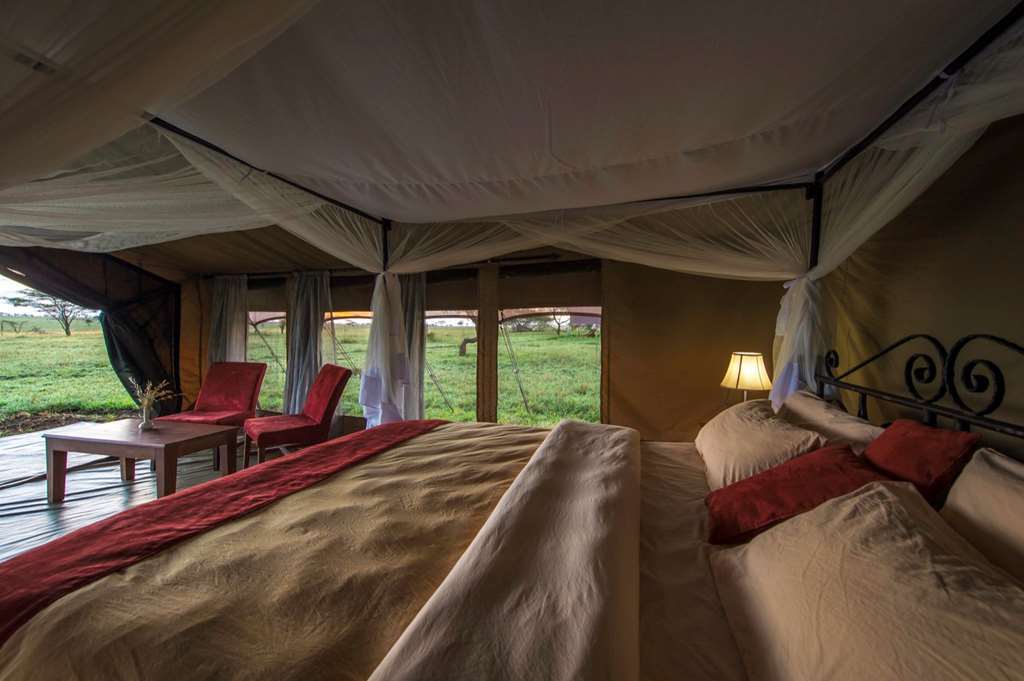 Karibu Camps And Lodges Sametu Camp Serengeti Robanda Habitación foto